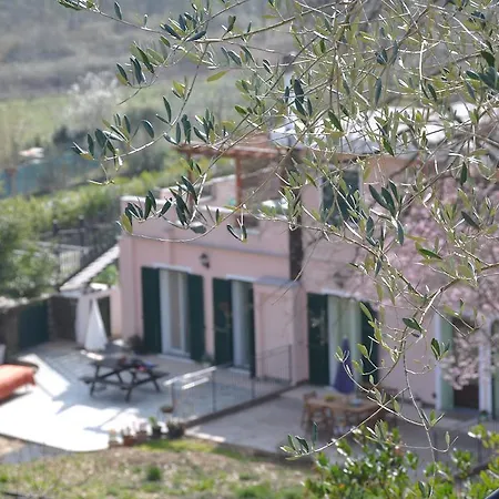 דירה Ulivi E Corbezzoli